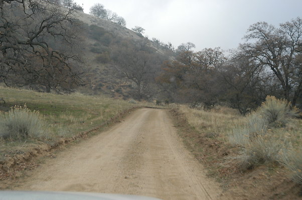 OakTreeRoadToPad 0154