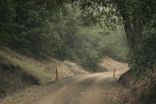 OakTreeRoadToPad 0160
