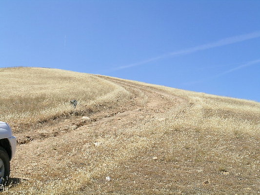 DSCN7113
