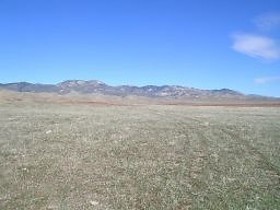 106