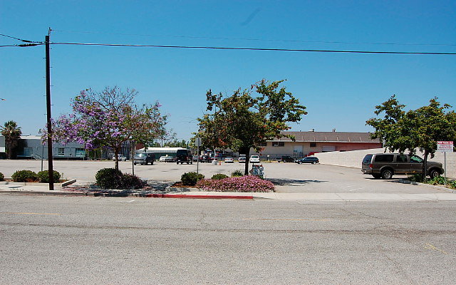 DSC 0339