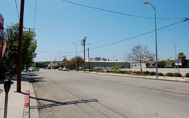 DSC 0338