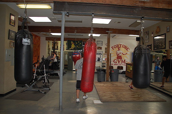 Fortune Boxing.Los Angeles16