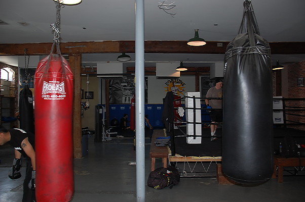 Fortune Boxing.Los Angeles13