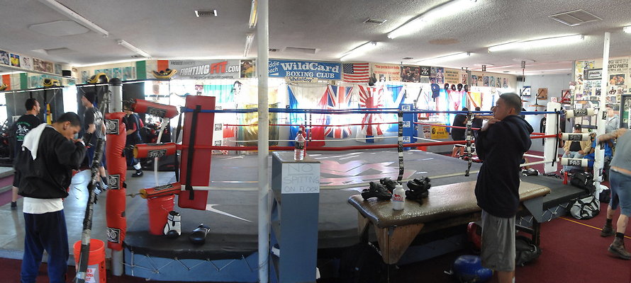 WildCard Boxing Gym01