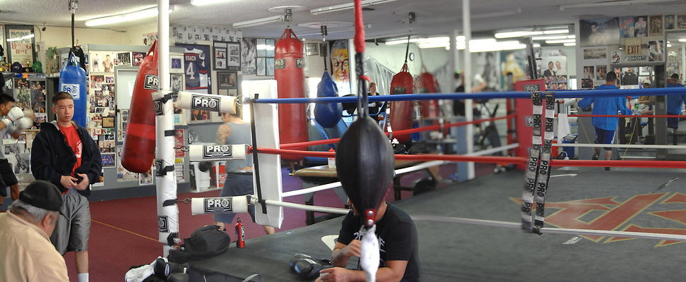 WildCard Boxing Gym