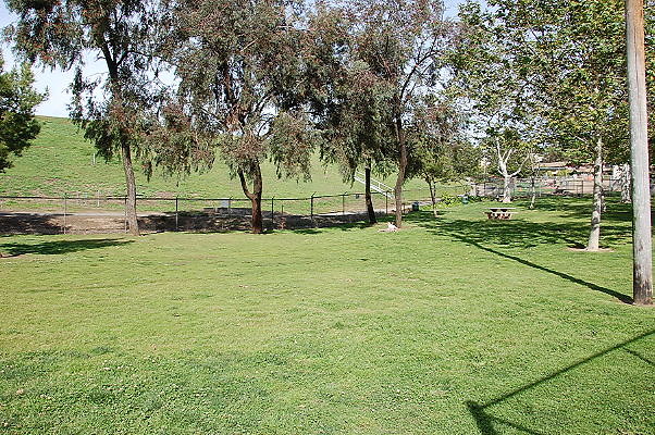 DSC 0176