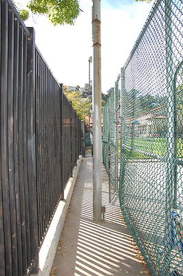 DSC 0153a