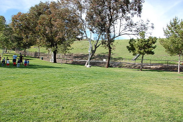 DSC 0168