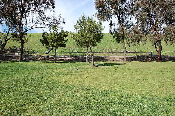 DSC 0175