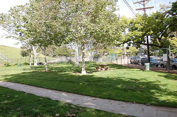 DSC 0180