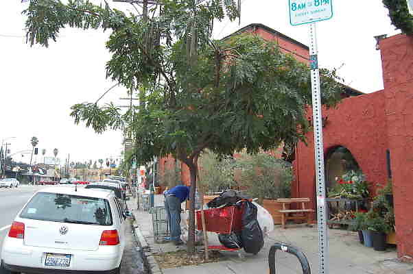 DSC 0262