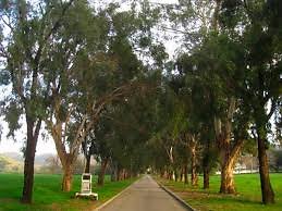 KGR; Front road (Marsha - Ramirez PC&apos;s conflicted copy 2014-09-19) copy (Marsha - Ramirez PC&apos;s conflicted copy 2014-09-19)
