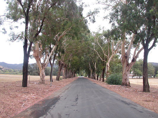 KGR; Front road ##3 (Marsha - Ramirez PC&apos;s conflicted copy 2014-09-19)