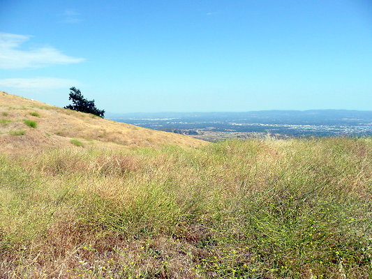 P1070985