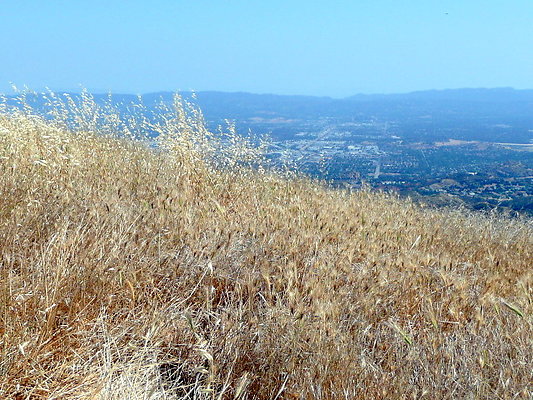 P1080006