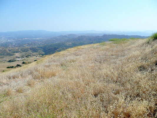 P1080019