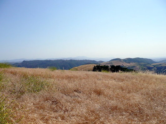 P1070980