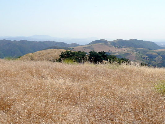 P1070962