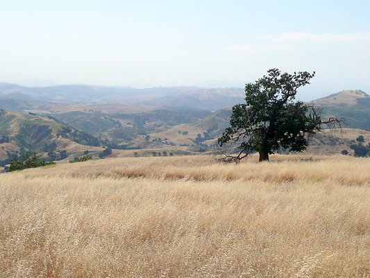 P1070970