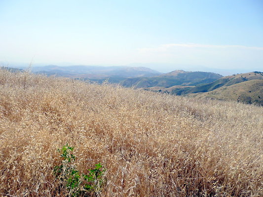P1070998