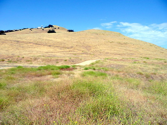 P1070991