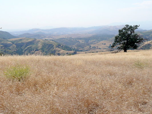 P1070963