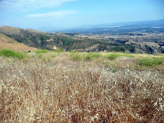P1080010
