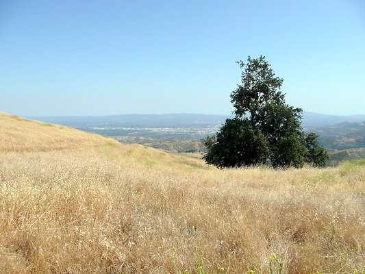 P1070954