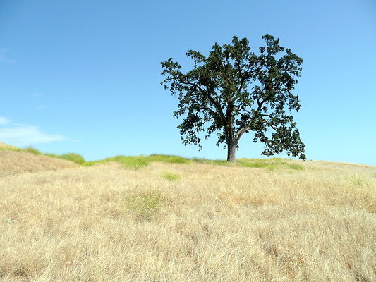P1070967