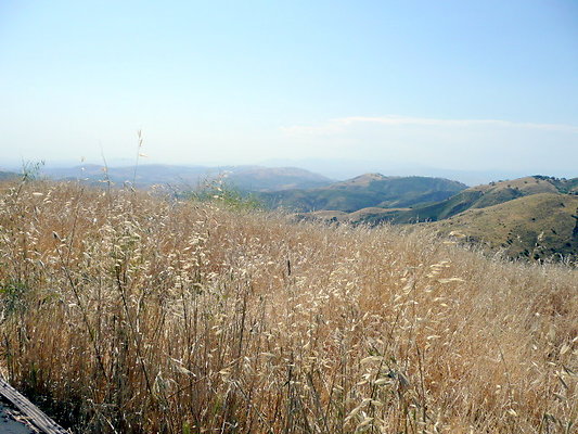 P1070999
