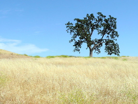 P1070978