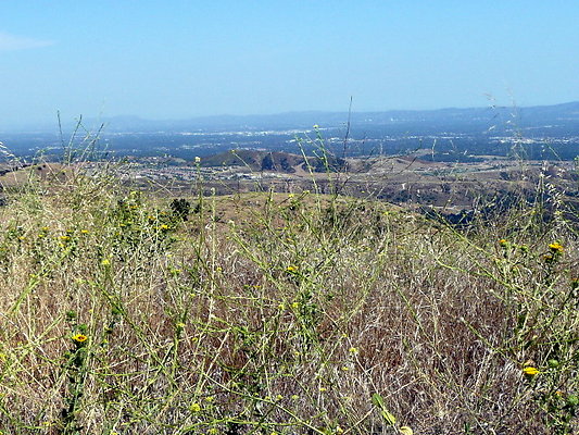 P1070920