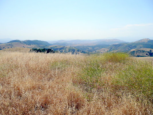 P1070988