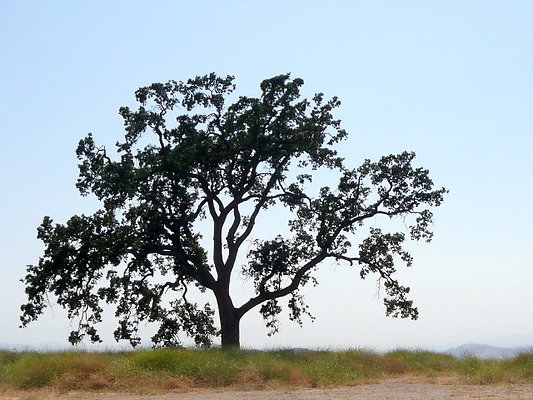 P1070956