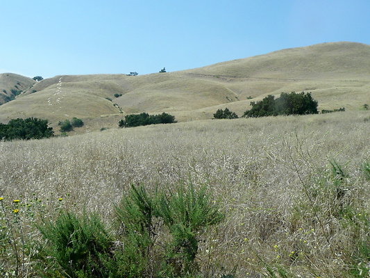 P1070945