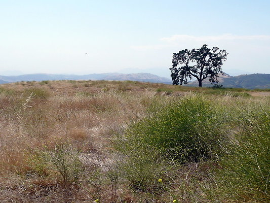 P1070952