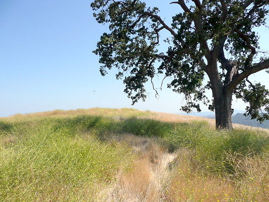 P1070959