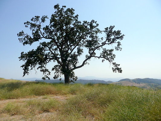 P1070957
