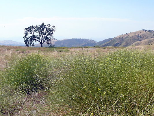 P1070953