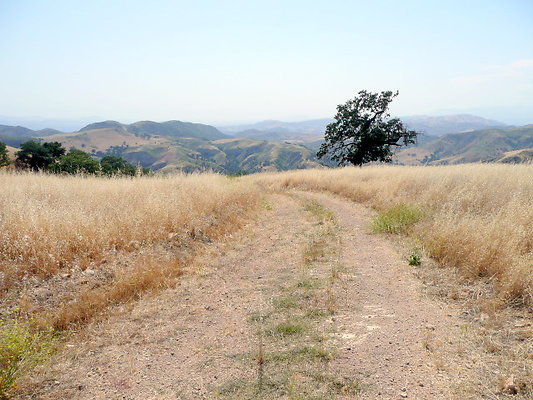P1070976