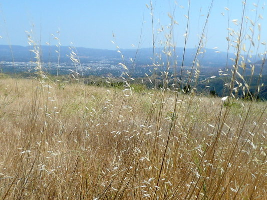 P1070931