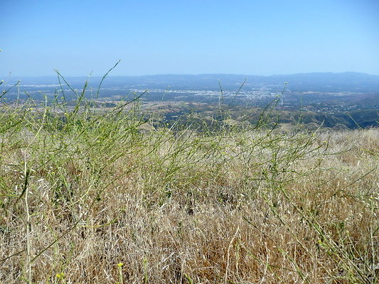 P1080021