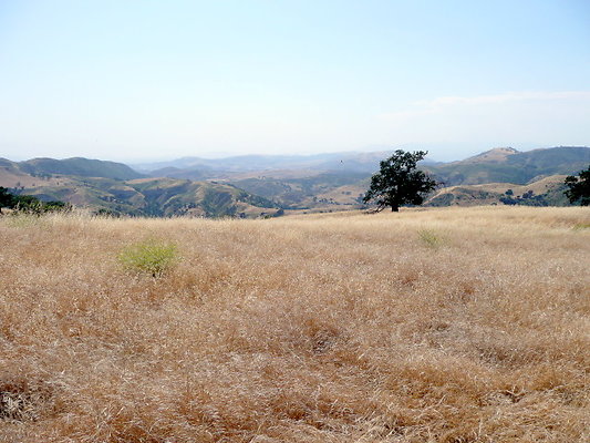 P1070961