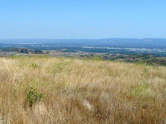 P1070932