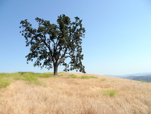P1070966