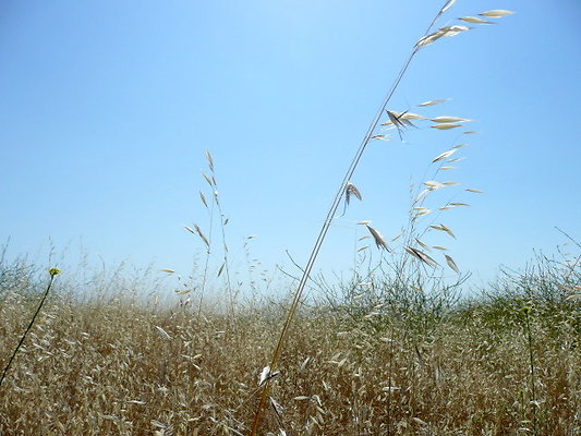 P1070992