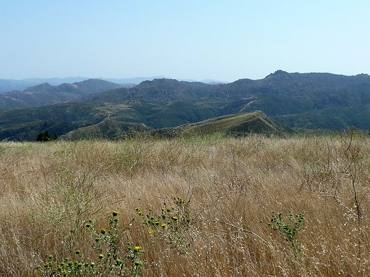 P1070939