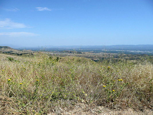 P1070919