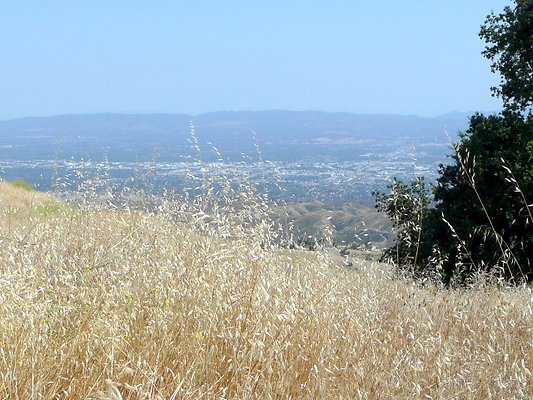 P1070955